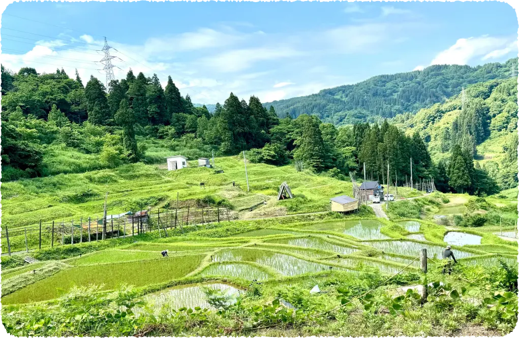 地方創生事業部イメージ写真